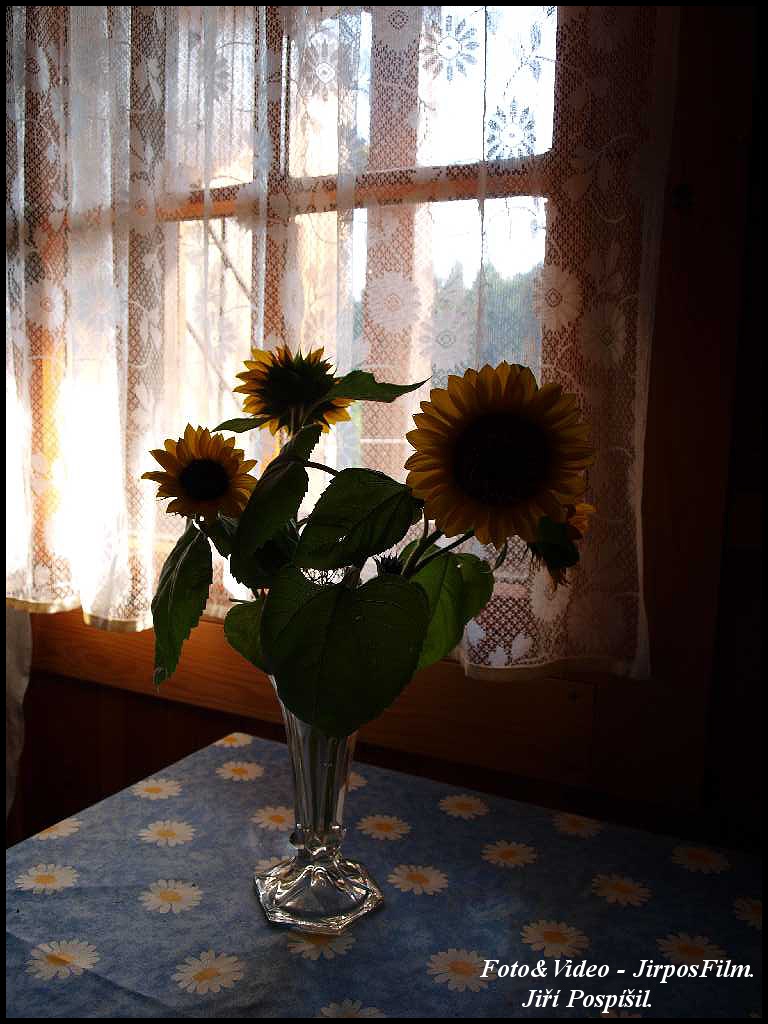 P1015534