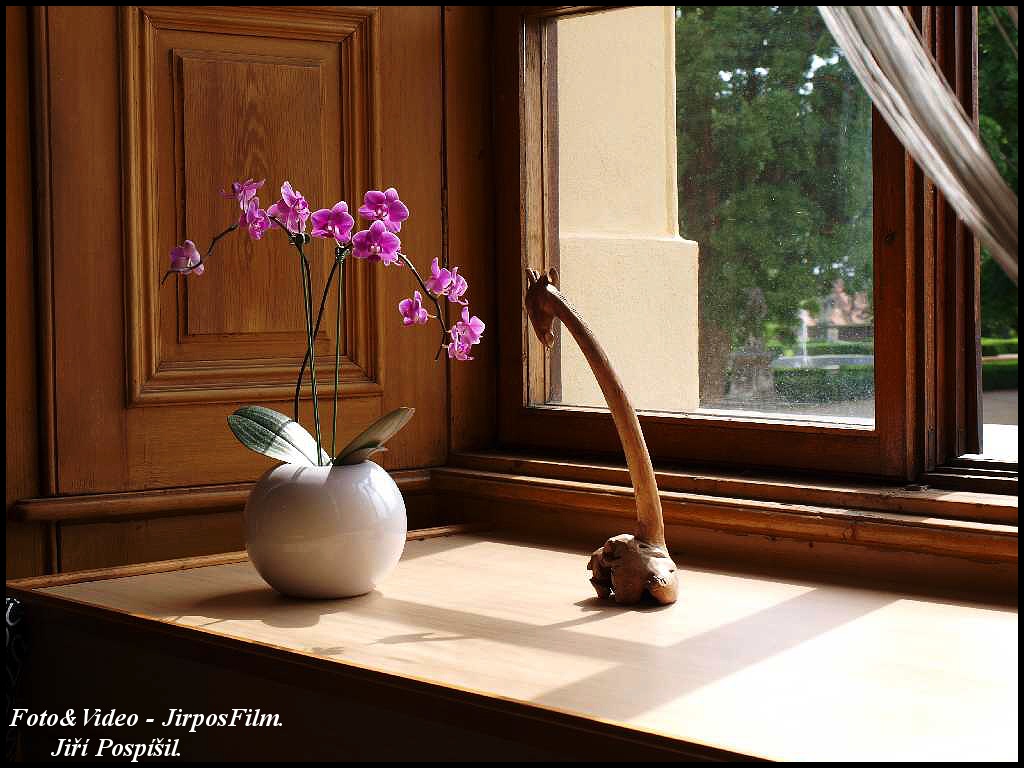 P1014505