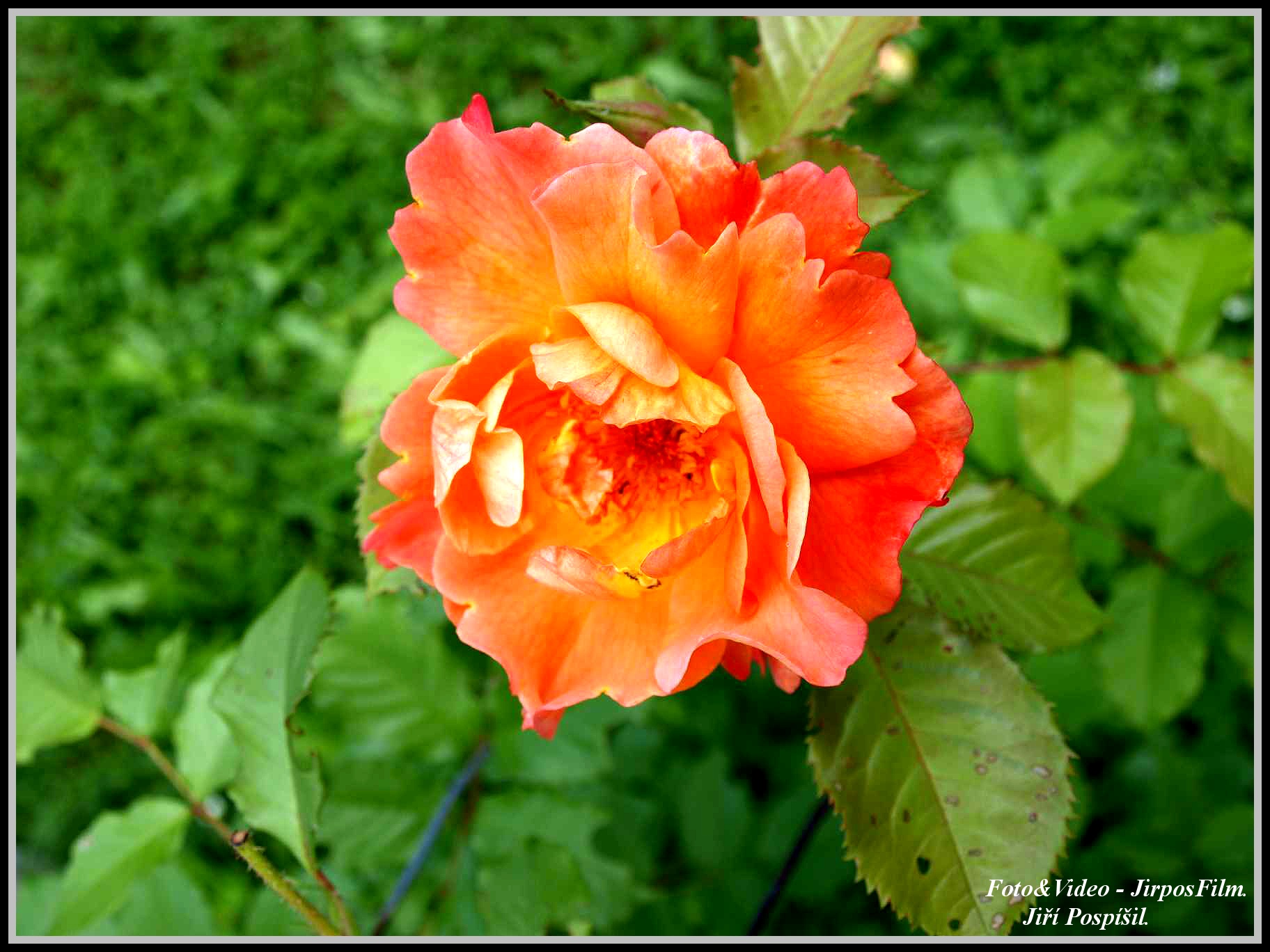 P1018400